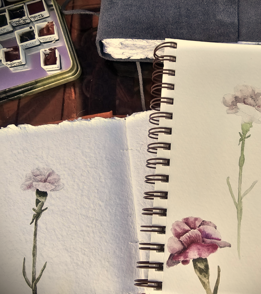 How I Create a Carnation in Watercolor